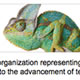 The American Society of Neuroimaging