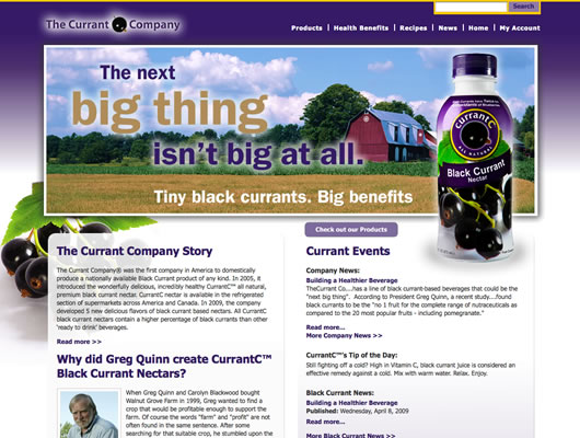 Visit The Currant Company's website