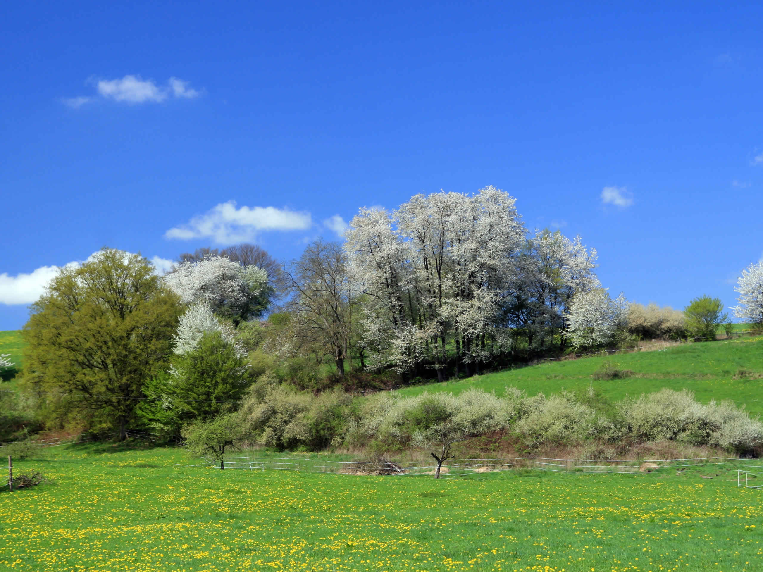 Seasonal Images