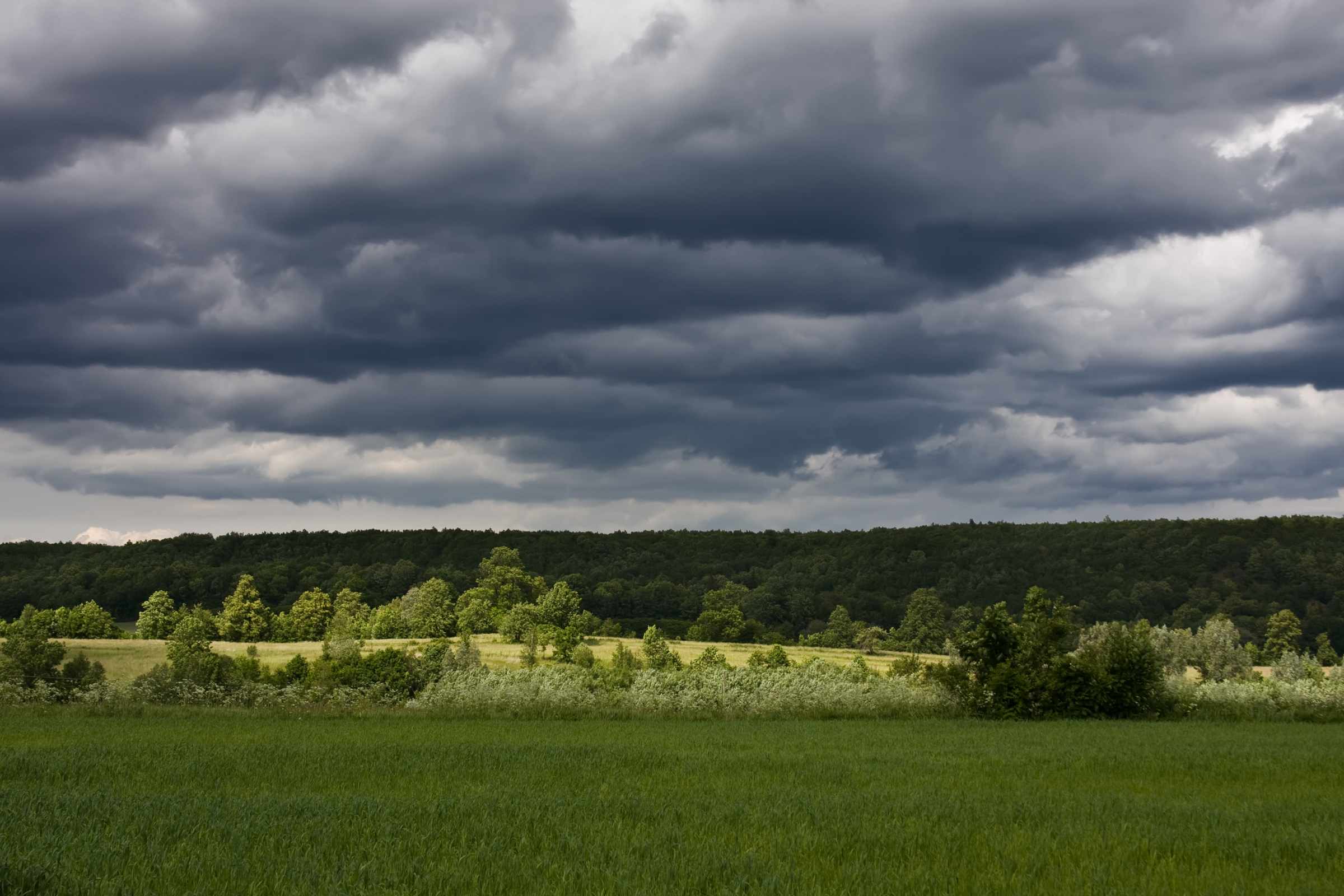 Seasonal Images