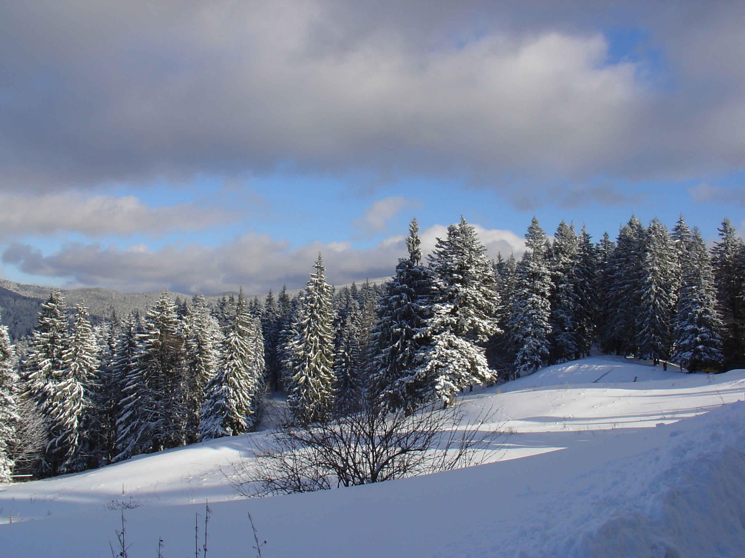 Seasonal Images