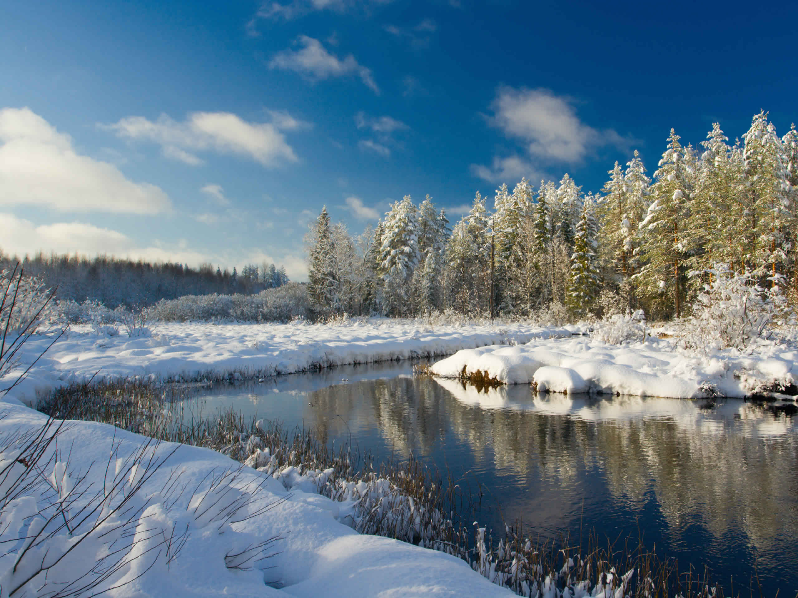 Seasonal Images